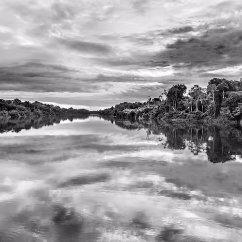 Amazonia Sebastiao Salgado