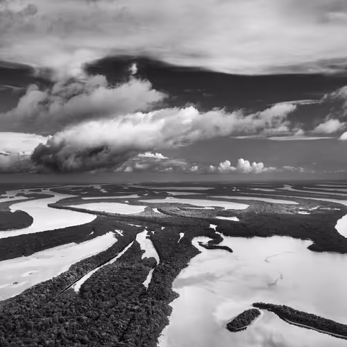 Amazonia Sebastiao Salgado