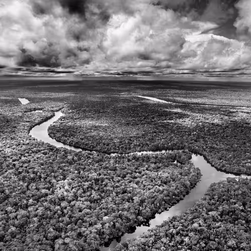 Amazonia Sebastiao Salgado