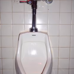 67