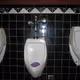 141