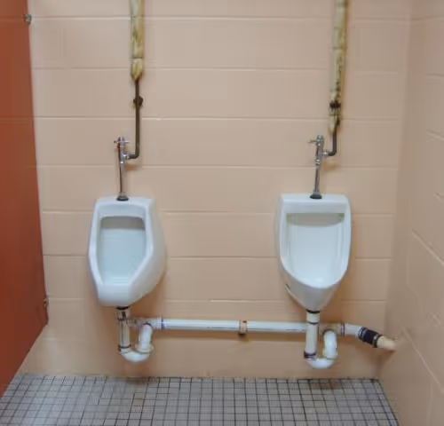 36