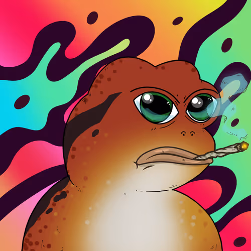 Mr Frog Is Here