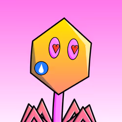 79