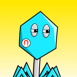 36