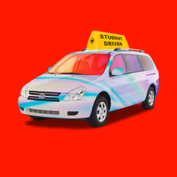 'Dona VIN#4773