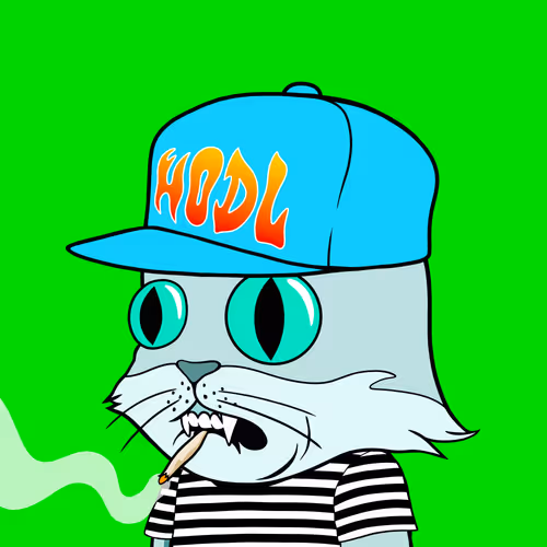 Myhomiesindreamland