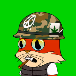 #338