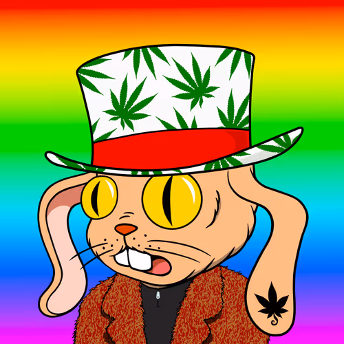 Myhomiesindreamland