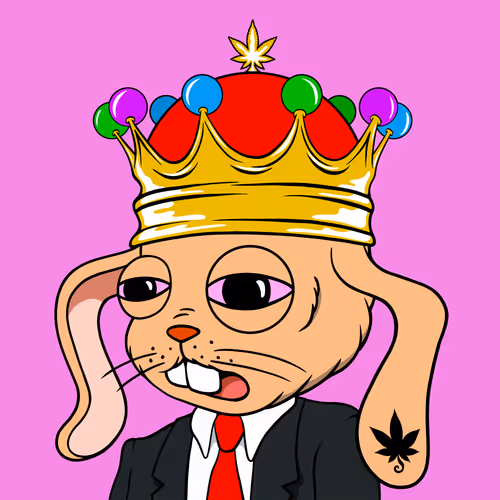 Myhomiesindreamland