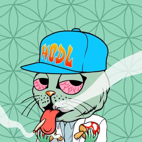 Myhomiesindreamland