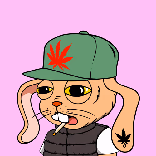 Myhomiesindreamland