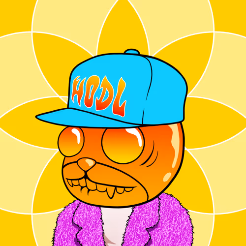 Myhomiesindreamland