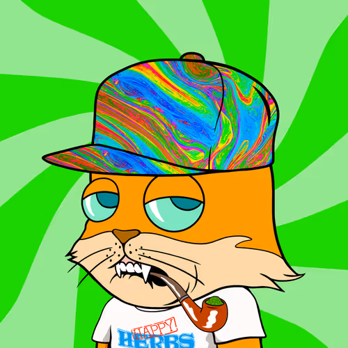 Myhomiesindreamland