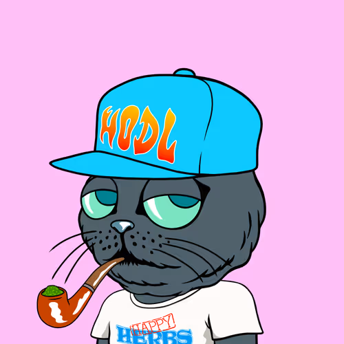 Myhomiesindreamland