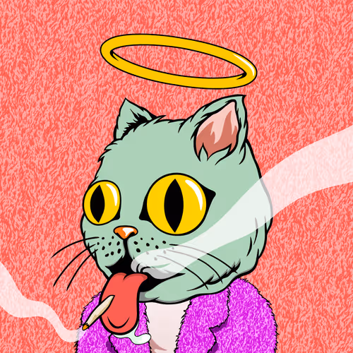 Myhomiesindreamland