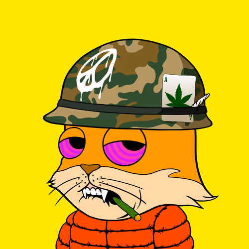 Myhomiesindreamland