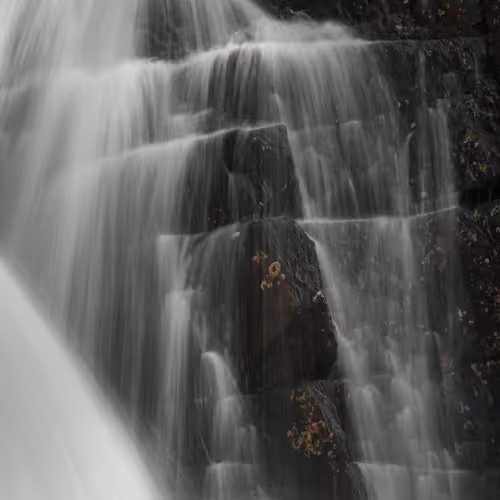 Glimpse of nature V2