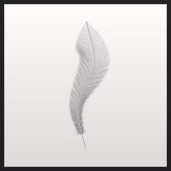Pluma (SI) #147