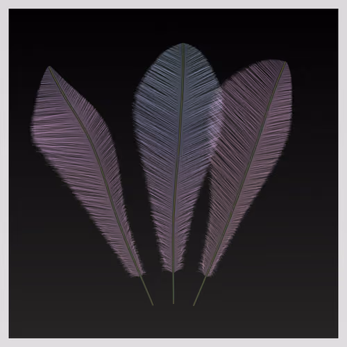 Pluma (SI) #142