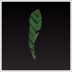 Pluma (SI) #149