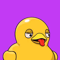 Duck #241