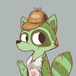 Raccoon's Isle #4260