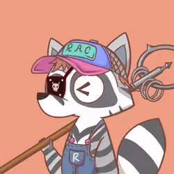 Raccoon's Isle #1505