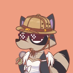 Raccoon's Isle #1007