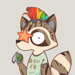 Raccoon's Isle #4528