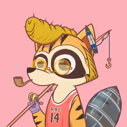 Raccoon's Isle #2381