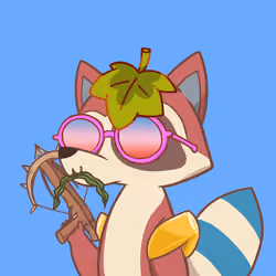 Raccoon's Isle #5555