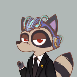 Raccoon's Isle #4597