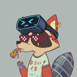 Raccoon's Isle #1542