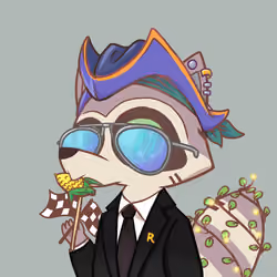 Raccoon's Isle #4821