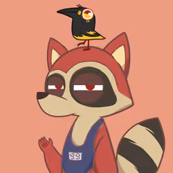 Raccoon's Isle #3970