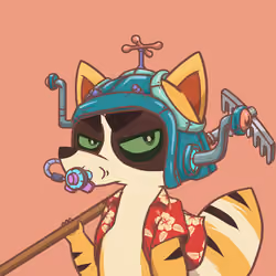 Raccoon's Isle #1269