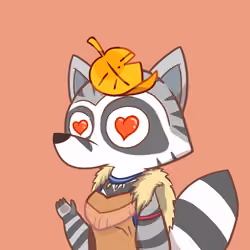 Raccoon's Isle #4529
