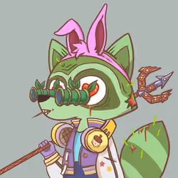 Raccoon's Isle #6495