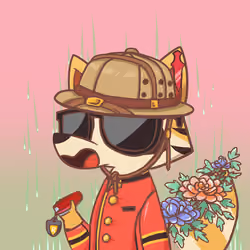 Raccoon's Isle #3068