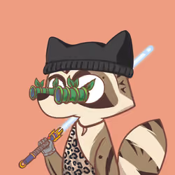 Raccoon's Isle #5447