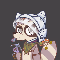 Raccoon's Isle #6458