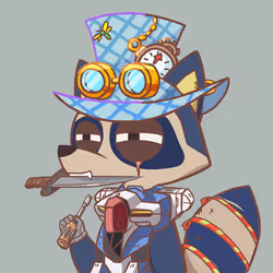 Raccoon's Isle #5577