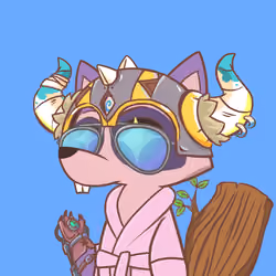 Raccoon's Isle #4602