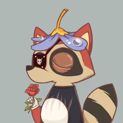 Raccoon's Isle #1117