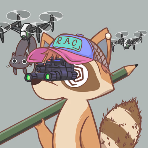 Raccoon's Isle #4892