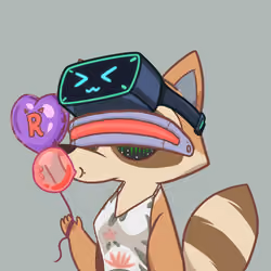 Raccoon's Isle #3641