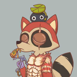 Raccoon's Isle #5554