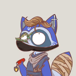 Raccoon's Isle #5393