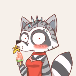 Raccoon's Isle #4708
